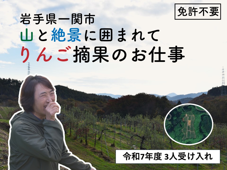 【募集開始】げいびりんごで絶景に囲まれてりんごの摘果