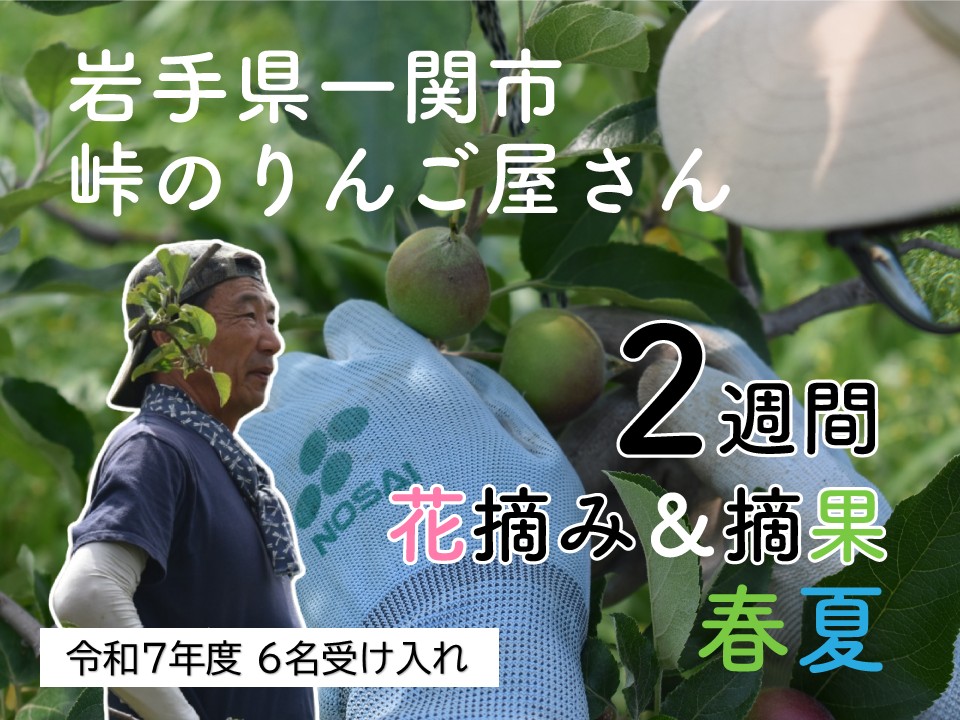 【募集中】令和6年度5人受入！峠のりんご屋さんで花摘み＆摘果
